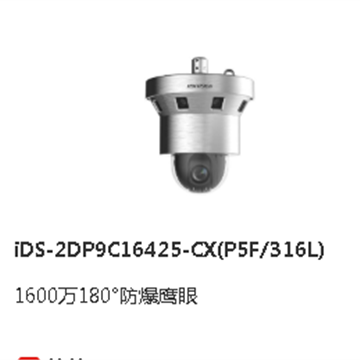 iDS-2DP9C16425-CX(P5F/316L) 1600萬180°防爆鷹眼